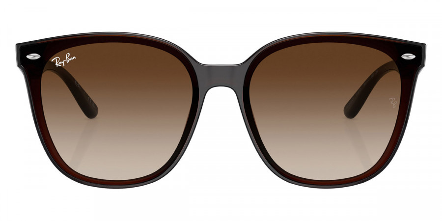 Ray-Ban™ - RB4423D