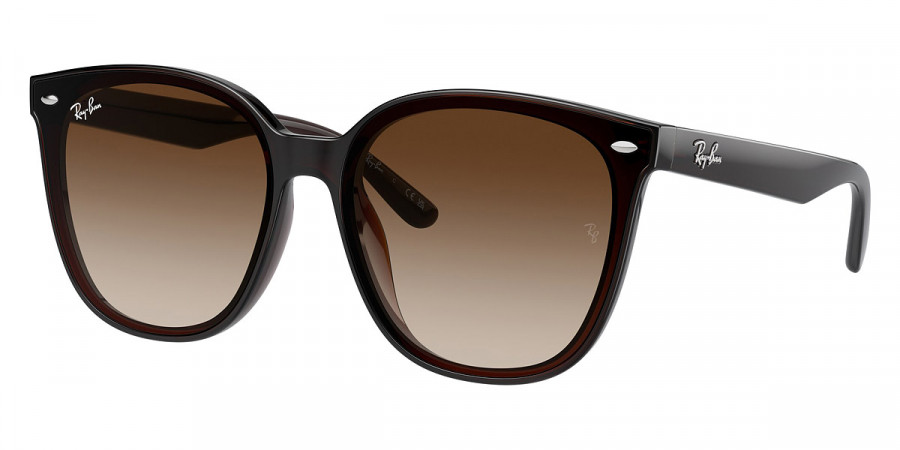 Ray-Ban™ - RB4423D