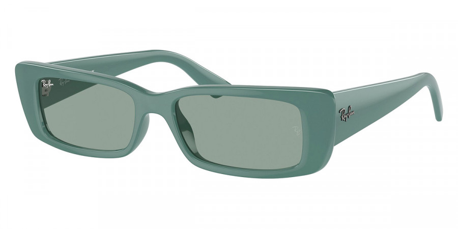 Ray-Ban™ - Teru RB4425