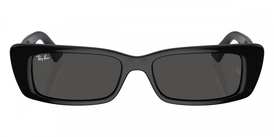 Ray-Ban™ Teru RB4425F 667787 54 - Black