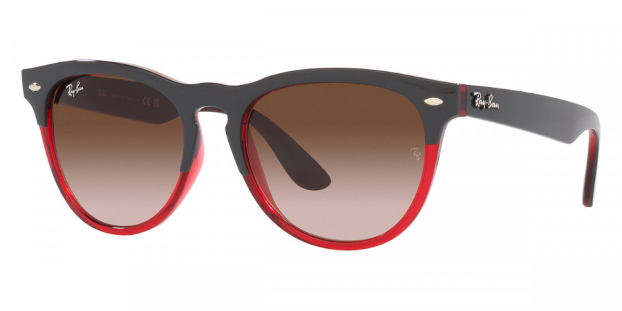 Ray-Ban™ - Iris RB4471