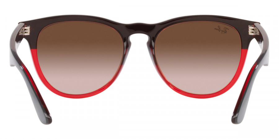 Color: Gray on Transparent Red (663113) - Ray-Ban RB447166311354