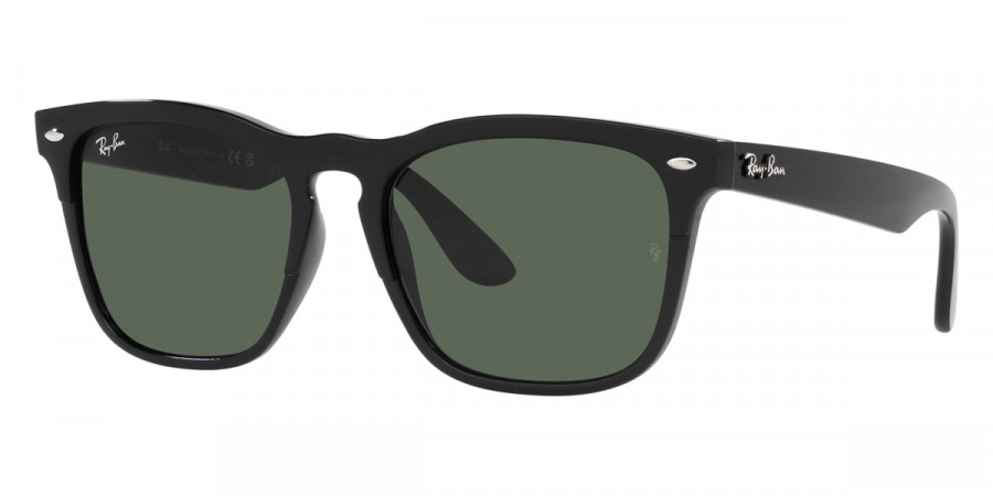 Color: Black (662971) - Ray-Ban RB448766297154