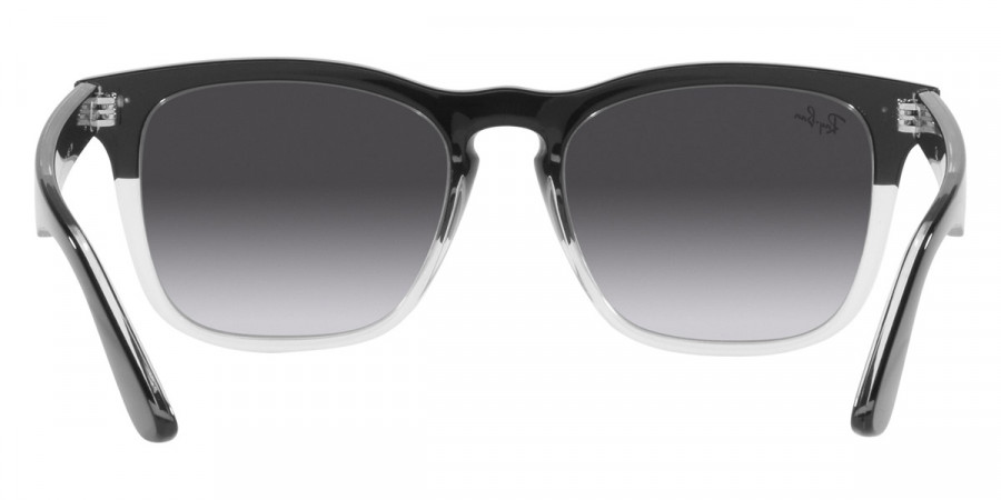 Ray-Ban™ - Steve RB4487