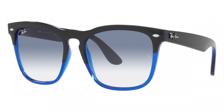 Ray-Ban™ - Steve RB4487