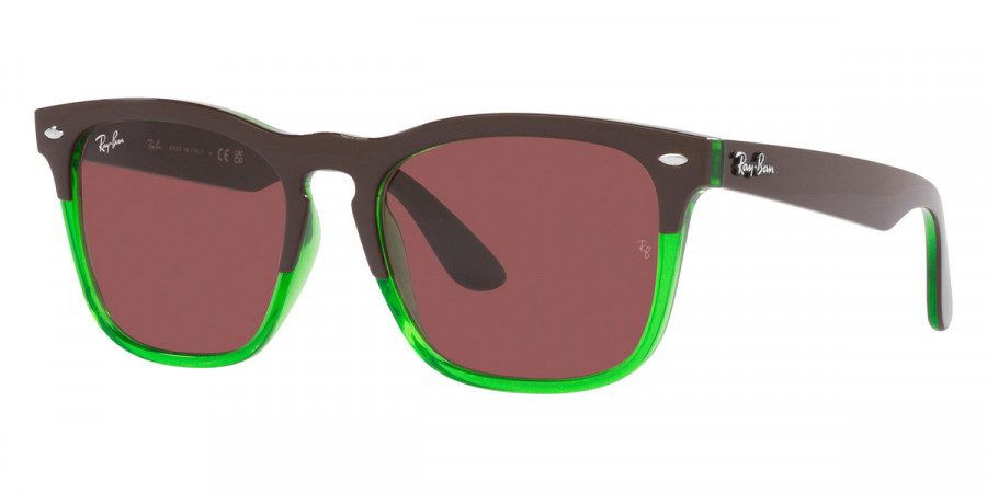 Ray-Ban™ - Steve RB4487