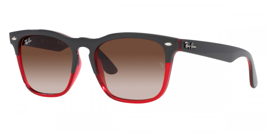 Ray-Ban™ - Steve RB4487F