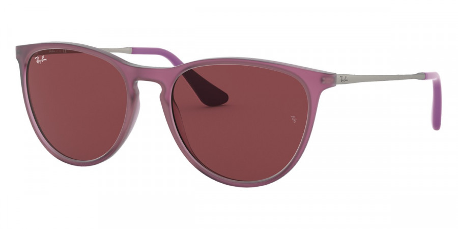 Ray-Ban™ - Junior Erika RJ9060S