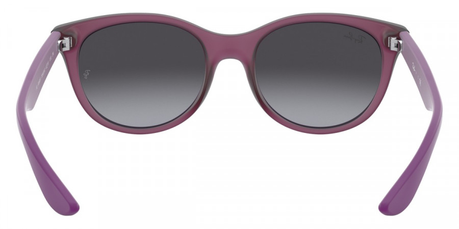 Ray-Ban™ - RJ9068S