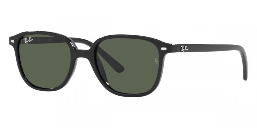 Ray-Ban™ - Leonard Jr RJ9093S