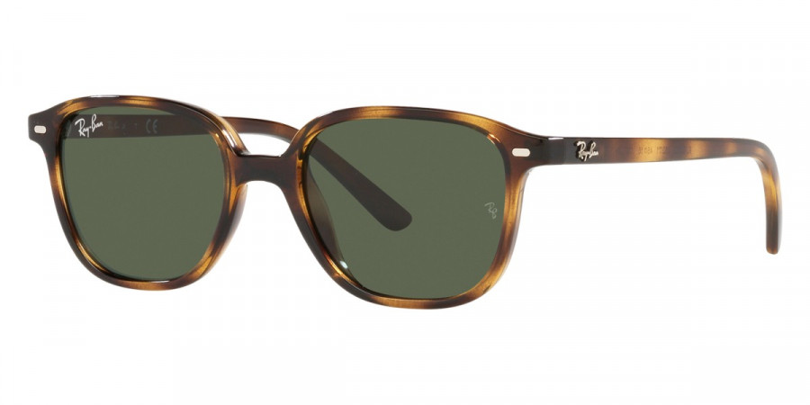 Ray-Ban™ - Leonard Jr RJ9093S