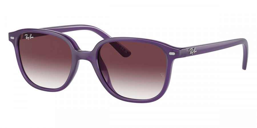 Ray-Ban™ Junior Leonard RJ9093S 713136 45 - Opal Violet