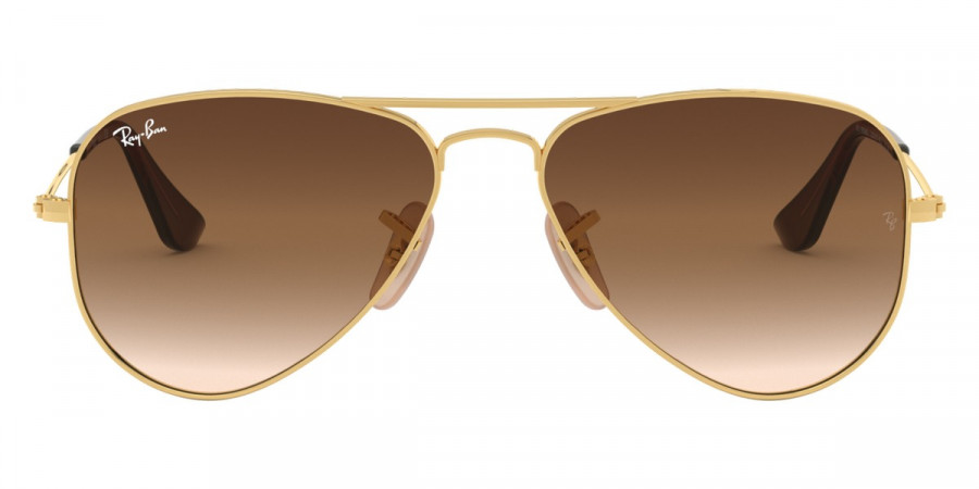 Ray-Ban™ Junior Aviator RJ9506S 223/13 50 - Arista