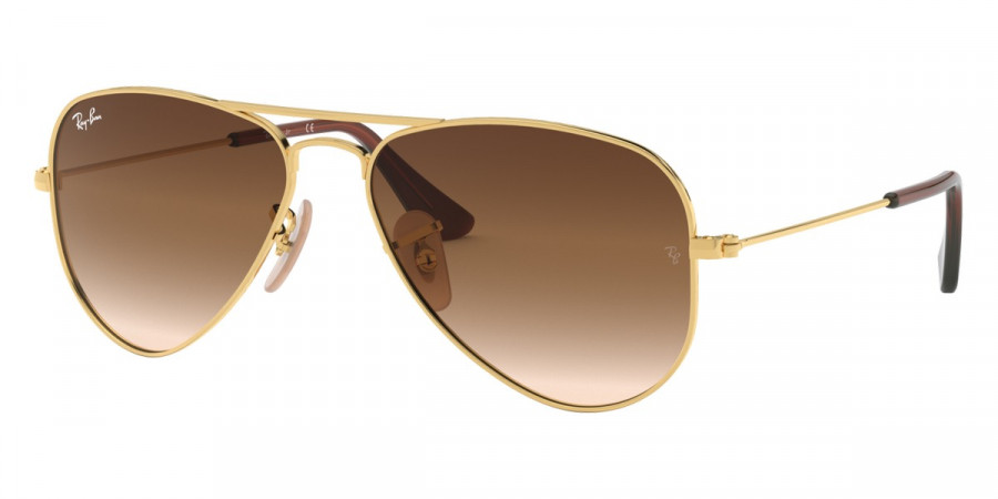 Color: Arista (223/13) - Ray-Ban RJ9506S223/1350