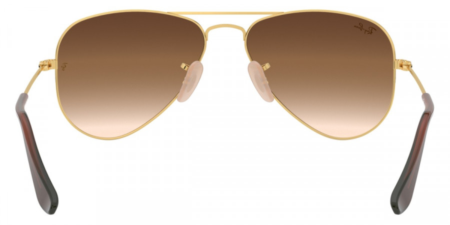 Color: Arista (223/13) - Ray-Ban RJ9506S223/1350