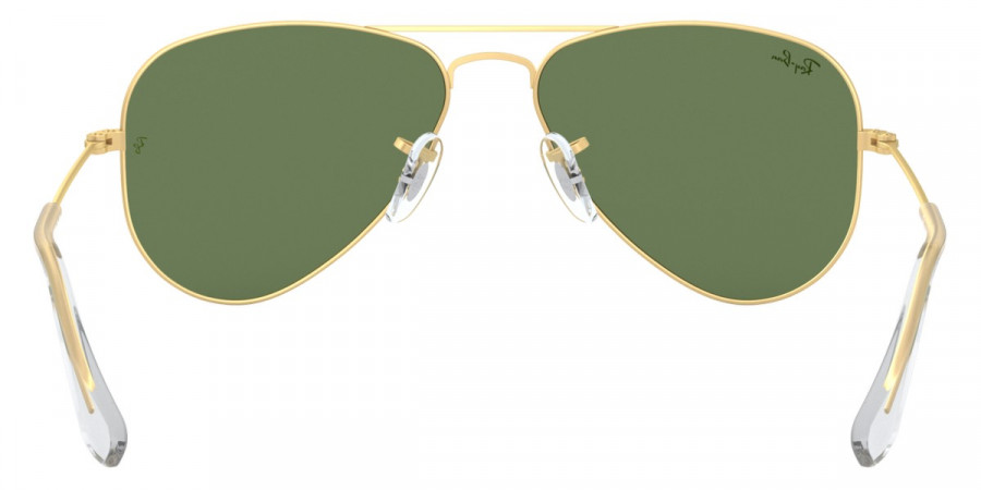 Color: Matte Arista (249/4V) - Ray-Ban RJ9506S249/4V50