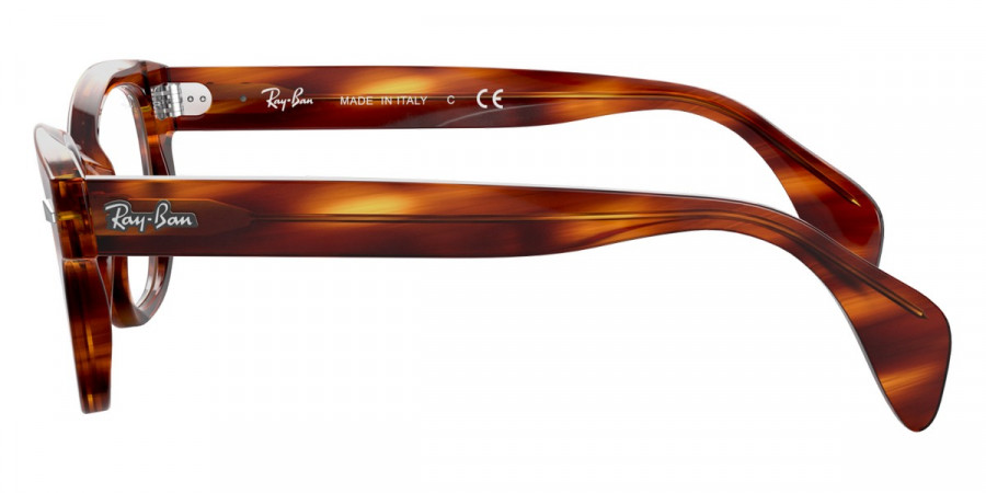 Ray-Ban™ - RX0880