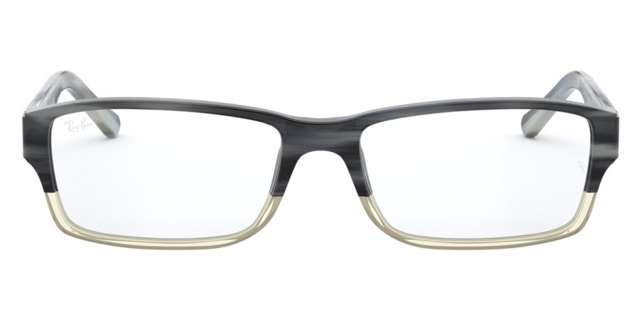 Ray-Ban™ RX5169 5540 54 - Gray Horn Gradient Gray