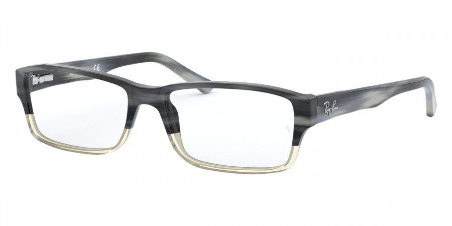 Ray-Ban™ - RX5169