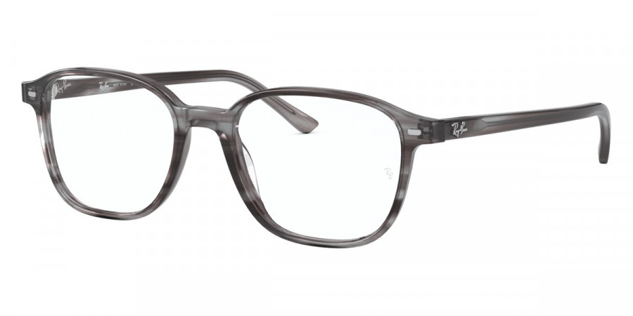 Ray-Ban™ - Leonard RX5393