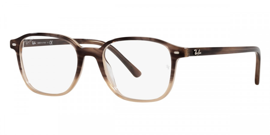 Ray-Ban™ - Leonard RX5393