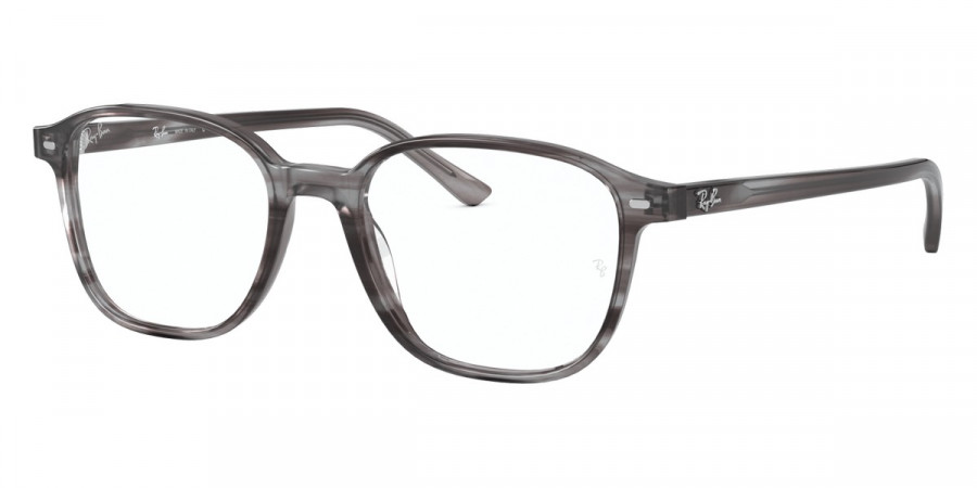 Ray-Ban™ - Leonard RX5393F