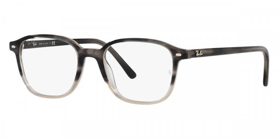 Ray-Ban™ - Leonard RX5393F