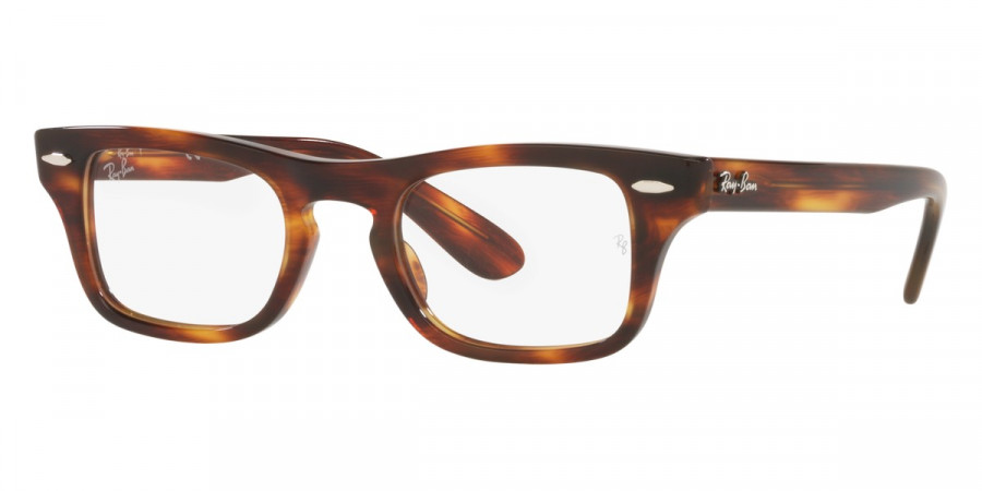 Ray-Ban™ - Burbank Jr RY9083V