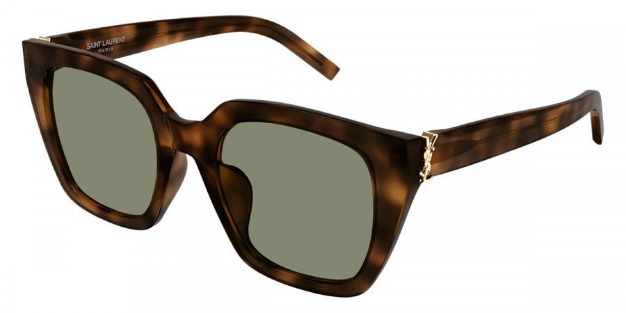 Color: Havana (003) - Saint Laurent SLM143/F00352