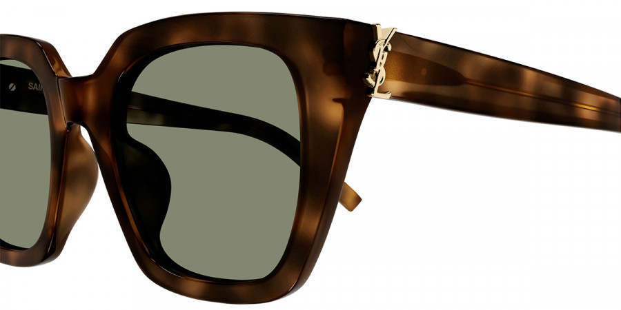 Color: Havana (003) - Saint Laurent SLM143/F00352