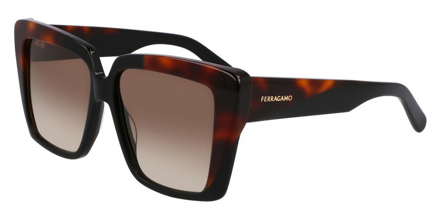 Color: Black/Tortoise (006) - Salvatore Ferragamo SFGSF1060SN00655