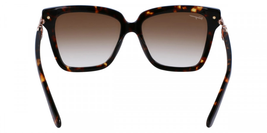 Color: Dark Tortoise (219) - Salvatore Ferragamo SFGSF1085S21957