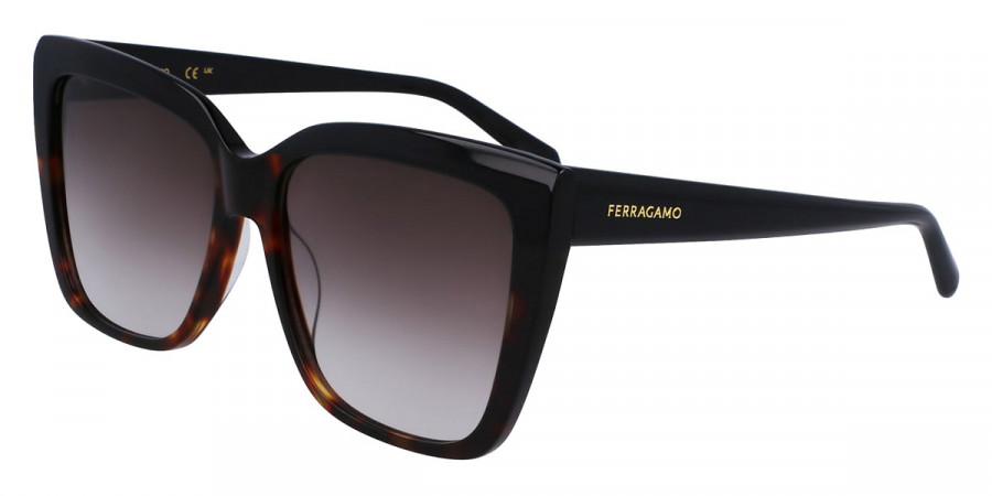 Color: Black/Tortoise (006) - Salvatore Ferragamo SFGSF1102S00658