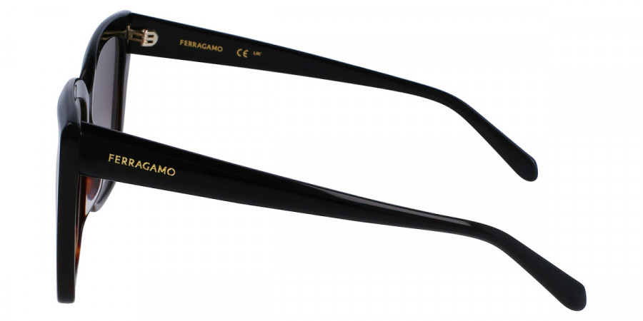 Color: Black/Tortoise (006) - Salvatore Ferragamo SFGSF1102S00658