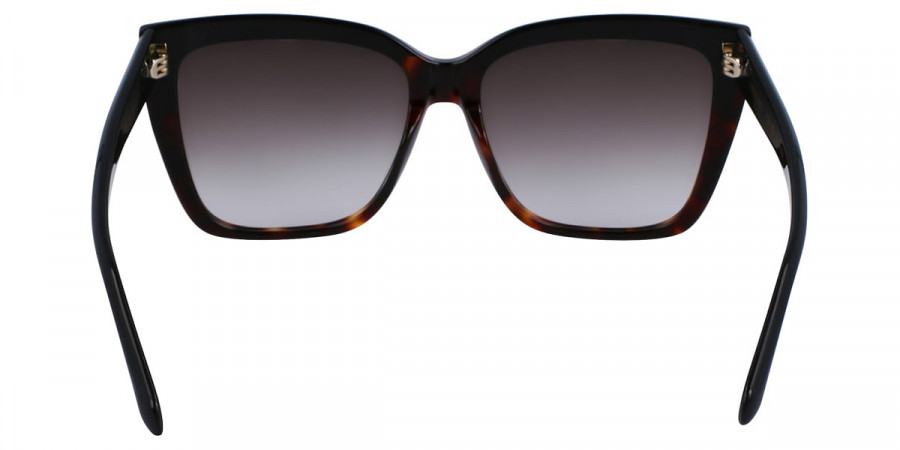 Color: Black/Tortoise (006) - Salvatore Ferragamo SFGSF1102S00658