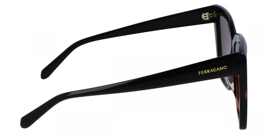 Color: Black/Tortoise (006) - Salvatore Ferragamo SFGSF1102S00658