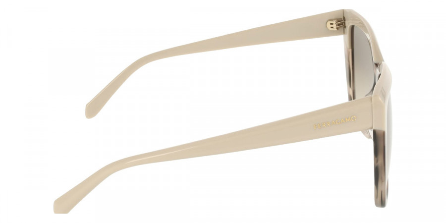 Color: Beige/Beige Striped Tortoise (251) - Salvatore Ferragamo SFGSF1102S25158