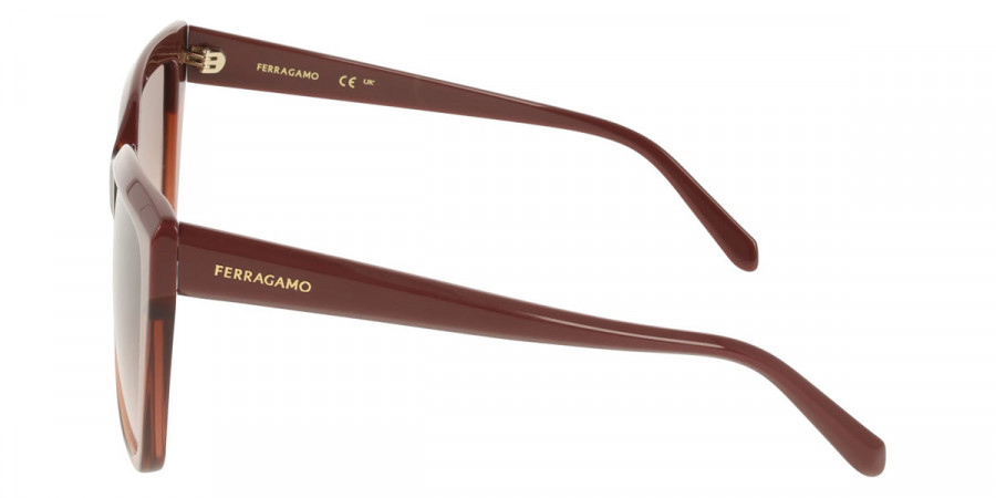 Color: Burgundy/Transparent Brown (619) - Salvatore Ferragamo SFGSF1102S61958