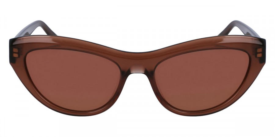 Salvatore Ferragamo™ SF1103S 232 55 - Transparent Brown