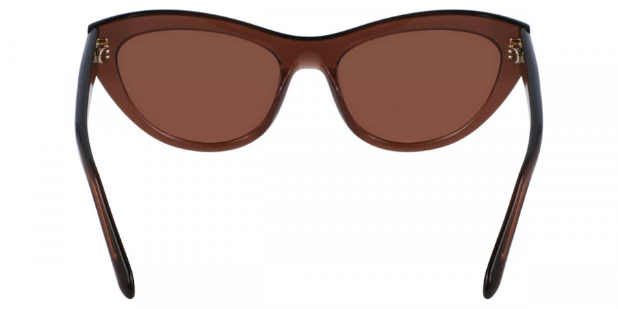 Color: Transparent Brown (232) - Salvatore Ferragamo SFGSF1103S23255