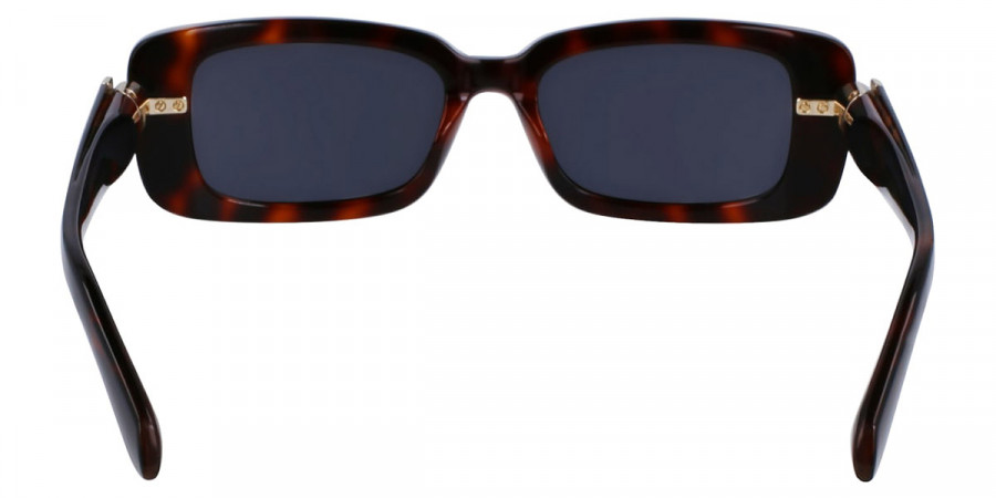 Color: Tortoise (240) - Salvatore Ferragamo SFGSF1105S24052