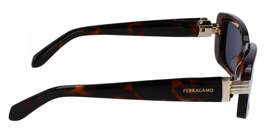 Color: Tortoise (240) - Salvatore Ferragamo SFGSF1105S24052