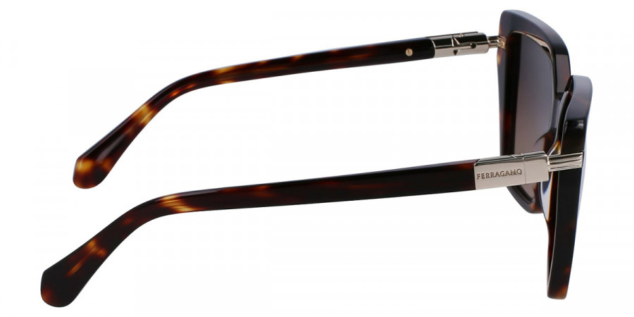 Color: Dark Tortoise (242) - Salvatore Ferragamo SFGSF1106S24257