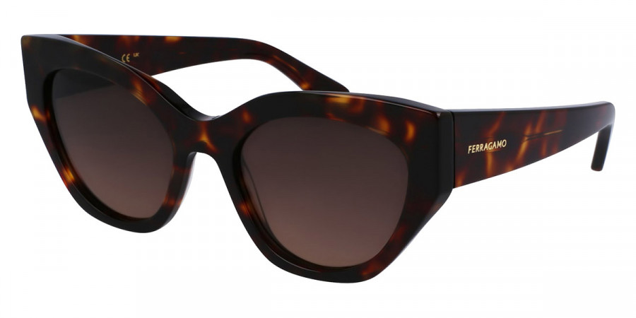 Color: Dark Tortoise (242) - Salvatore Ferragamo SFGSF1107S24255