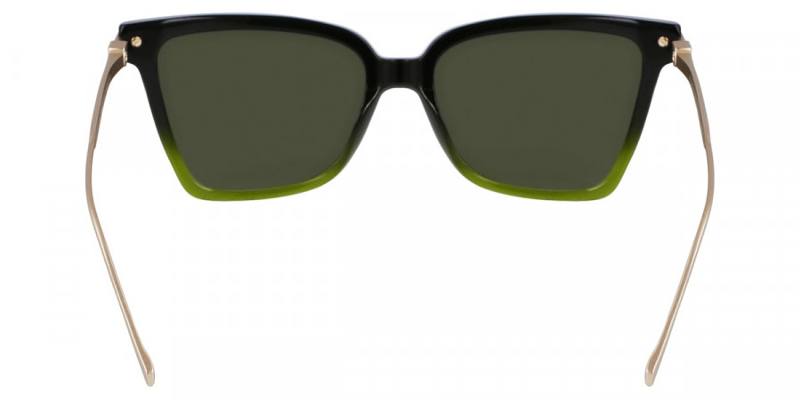 Color: Gradient Transparent Dark Green (316) - Salvatore Ferragamo SFGSF2036S31656