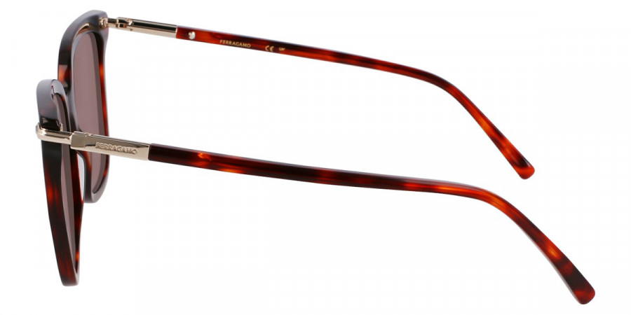 Color: Red Tortoise (640) - Salvatore Ferragamo SFGSF2037S64056