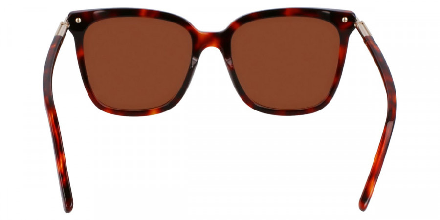 Color: Red Tortoise (640) - Salvatore Ferragamo SFGSF2037S64056