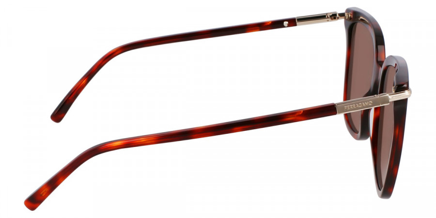 Color: Red Tortoise (640) - Salvatore Ferragamo SFGSF2037S64056