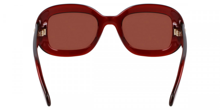 Color: Transparent Rust (224) - Salvatore Ferragamo SFGSF2038SE22451