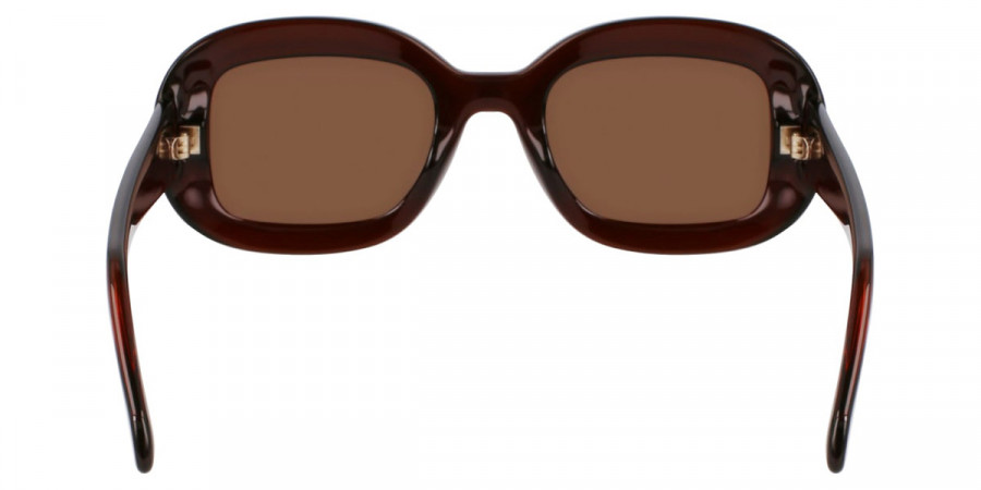 Color: Transparent Brown (232) - Salvatore Ferragamo SFGSF2038SE23251